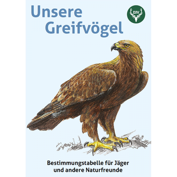 Faltblatt Unsere Greifvogel Ljv Rheinland Pfalz Onlineshop