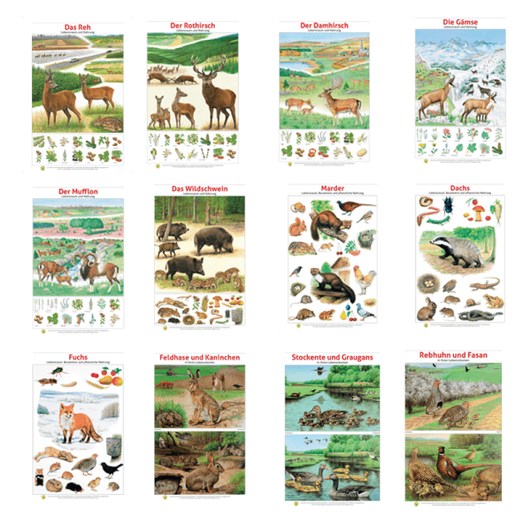 Lernort Natur-Tafel-Set "Heimische Wildtiere - Lebensraum und Nahrung" (12 Tafeln)