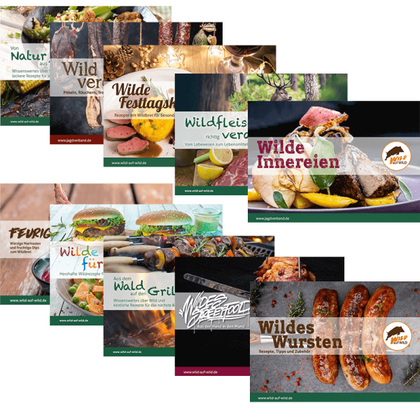 Rezeptbroschüren-Paket "Wild auf Wild" (10 Stück)